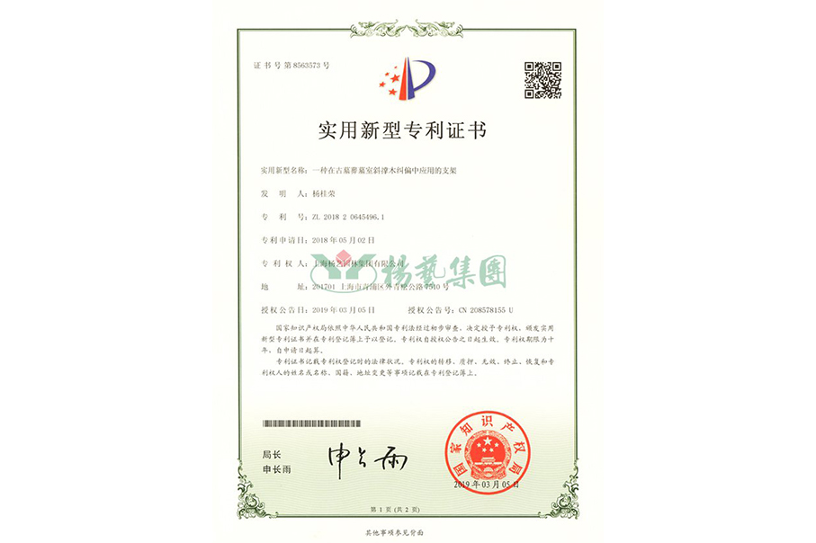 实用新型专利：一种在古墓葬墓室斜撑木纠偏中