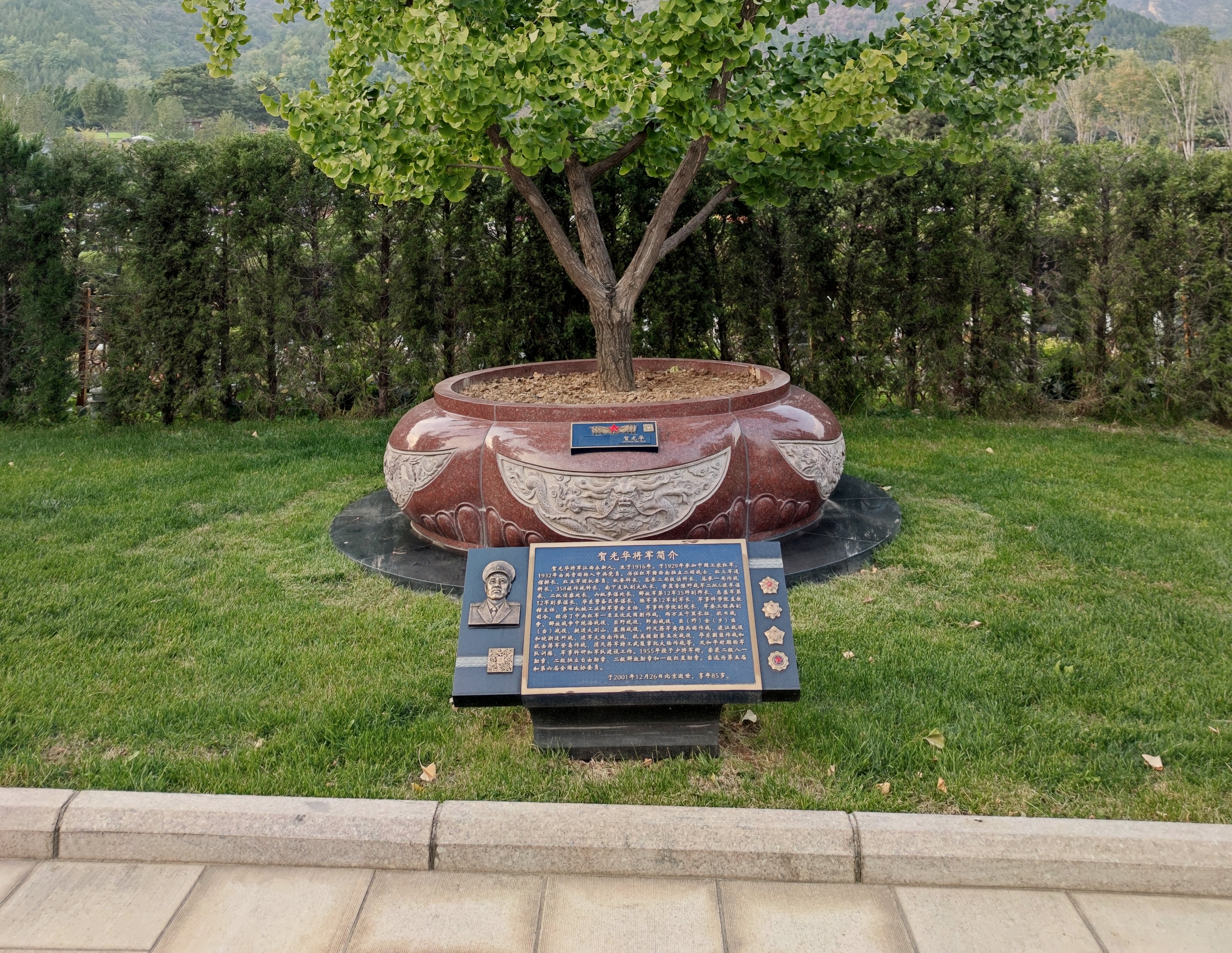 贺光华将军安息之地：九龙坛树葬