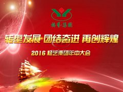 【2016年E尊国际年中会正在召开中~】全员充电培训
