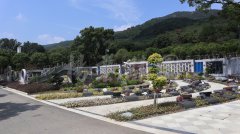 生态葬，让生命在绿意中永恒