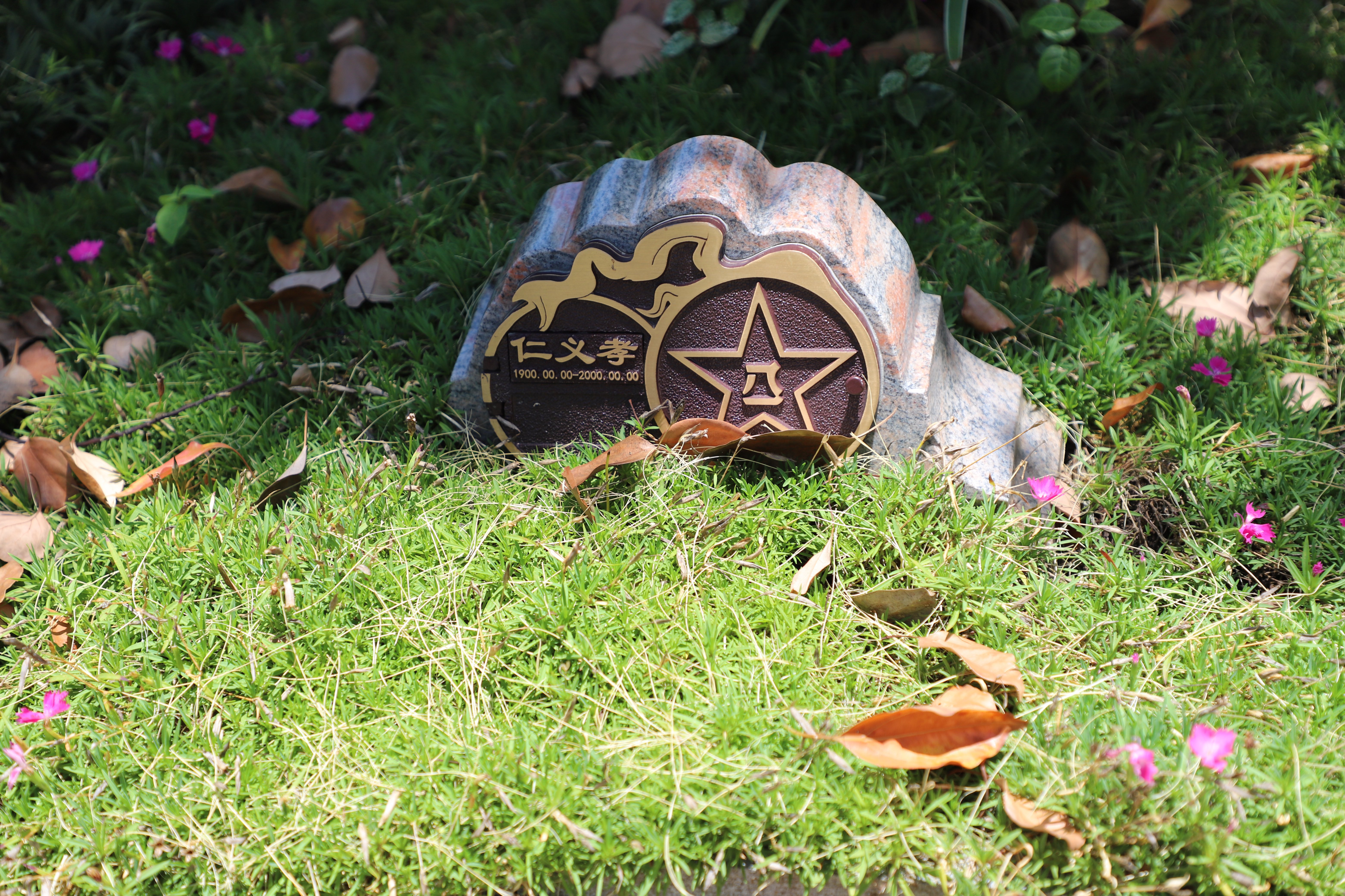 尘归尘，土归土：当生命终与自然相融